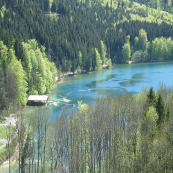 Neuschwanstein  Picture 071.jpg